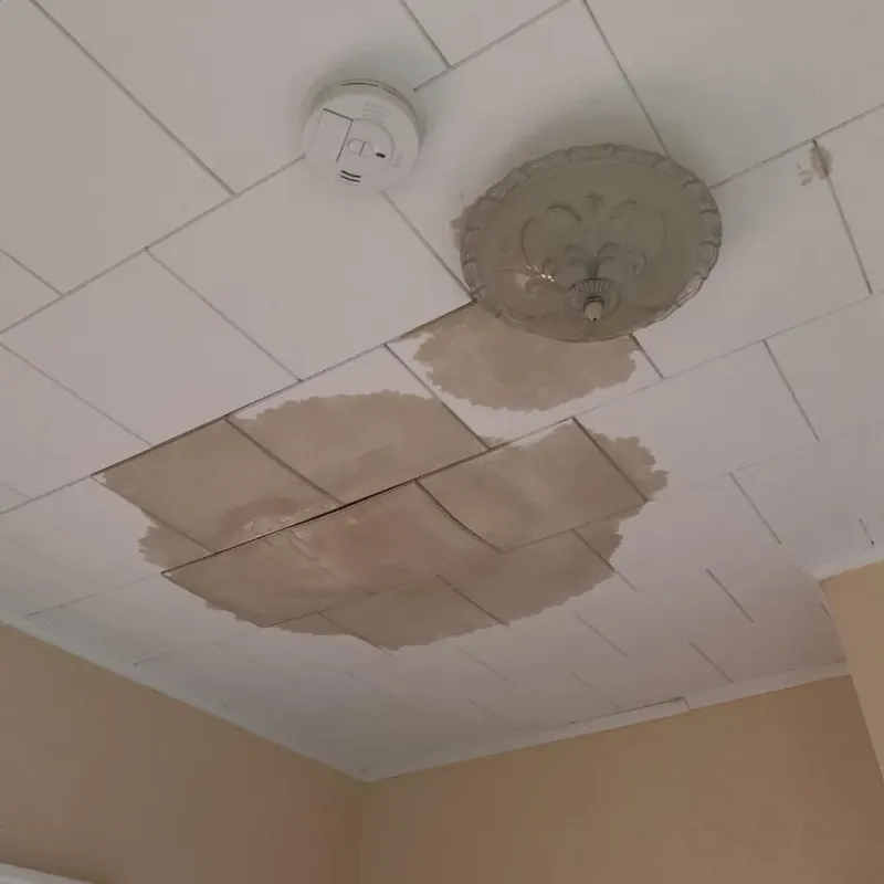 Ceiling Water Damage Repair in Cumberland Head, NY