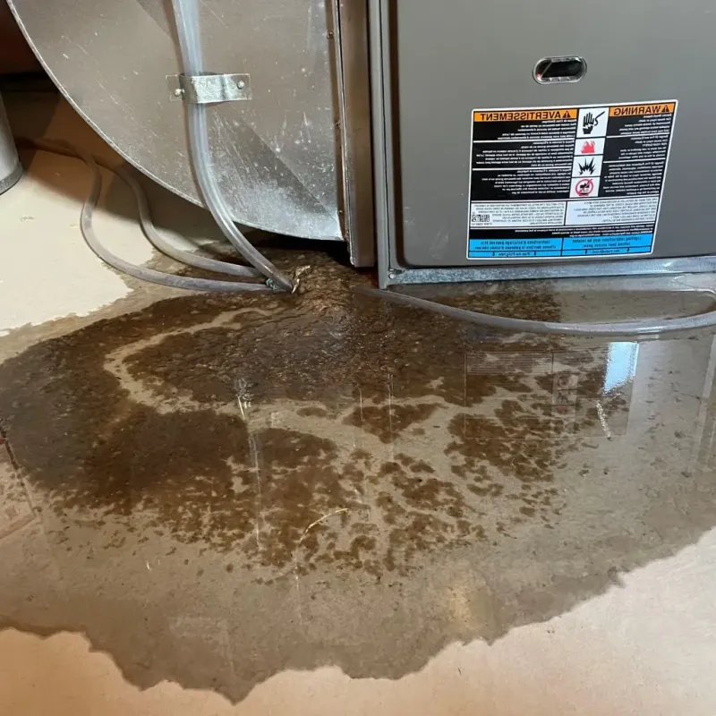 Pipe Burst and Leak Restoration in Cumberland Head, NY